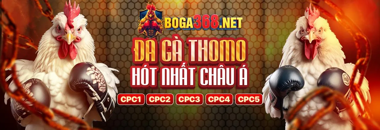 Hình ảnh chính về chơi có trách nhiệm tại pho88 link vào